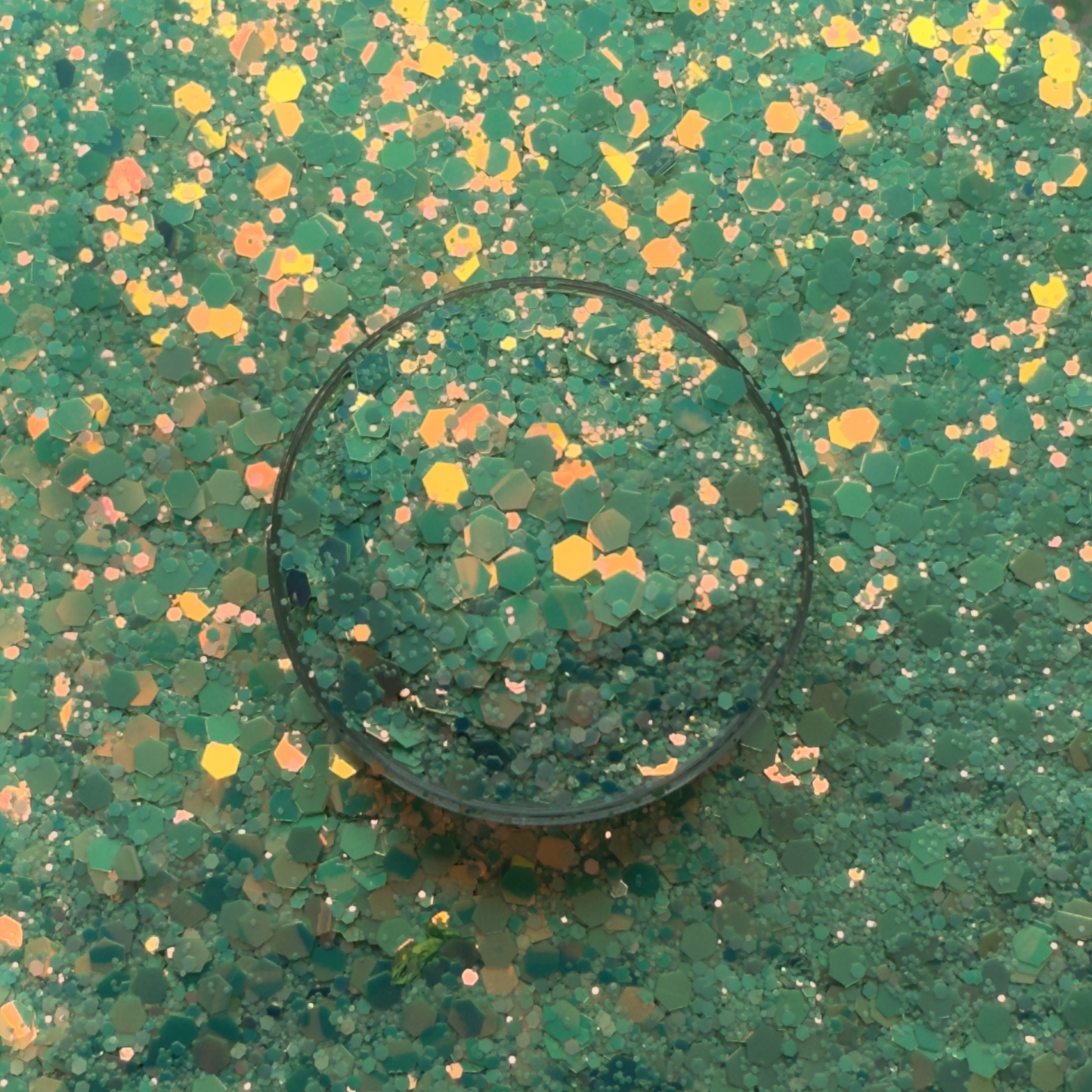 Cayman - Neon Chameleon