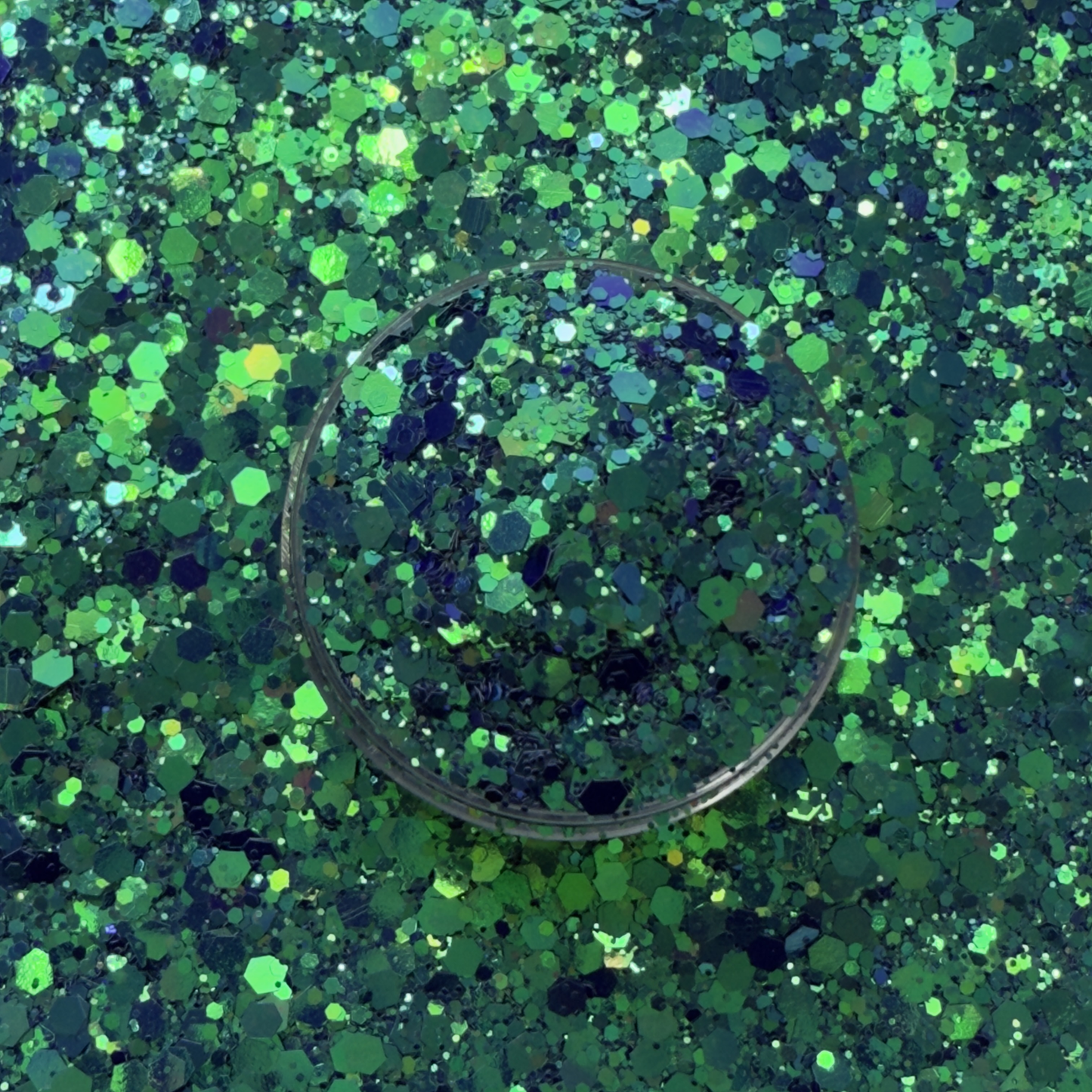 Dragon Fly - Chameleon