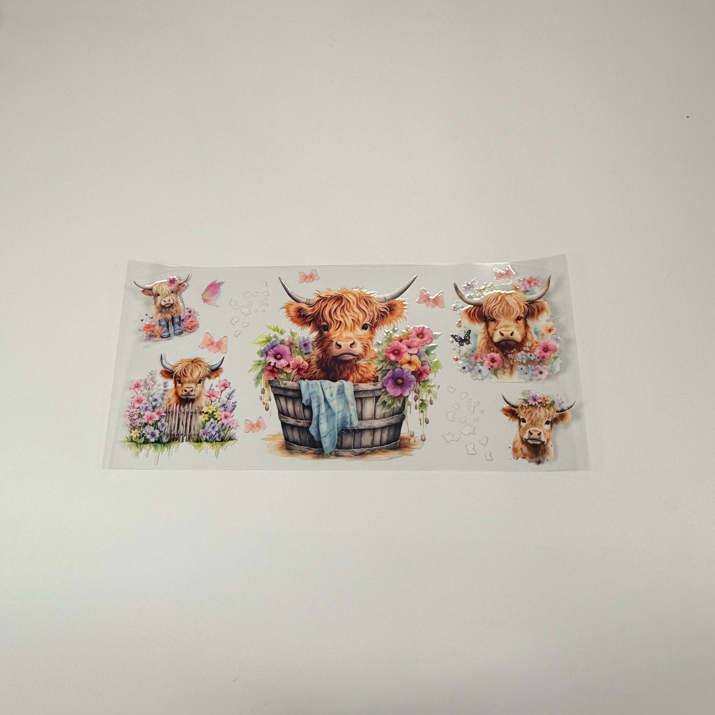 Highland Calf - Wattsupcustoms