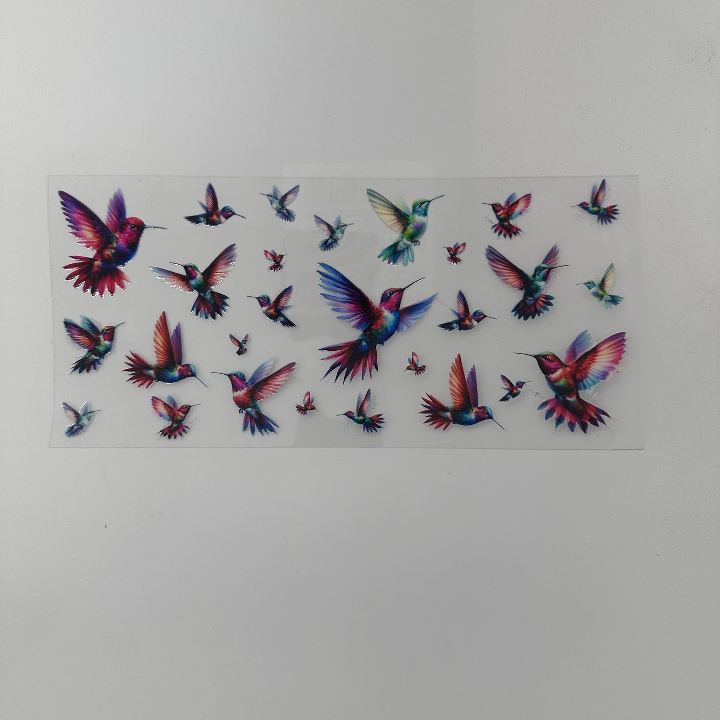 Humming Birds