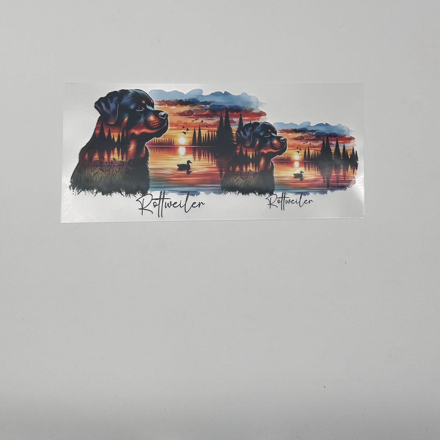 Rottweiler