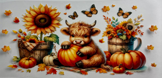 Calf and Pumpkins - Wattsupcustoms