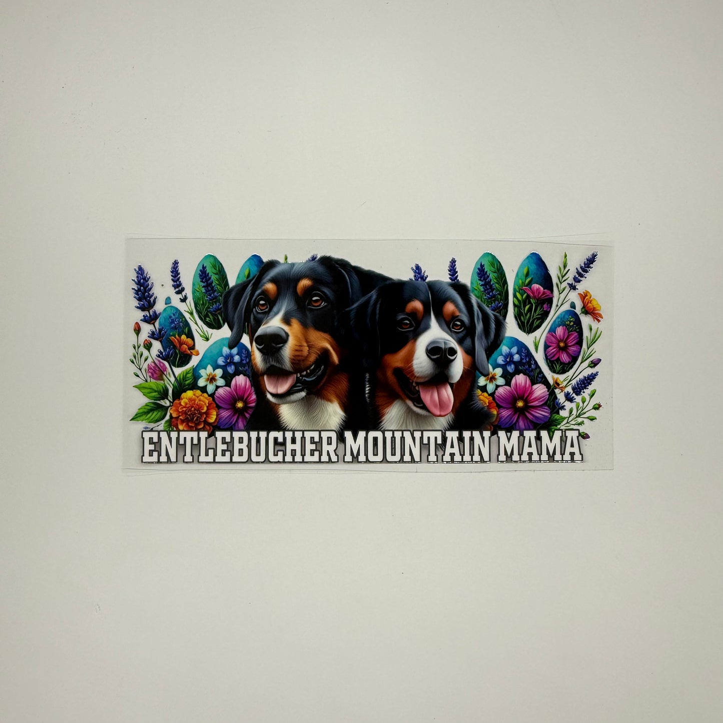 Entlebucher Mountain Mama