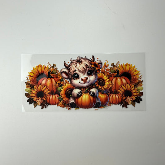Calf, Pumpkins and Sunflowers