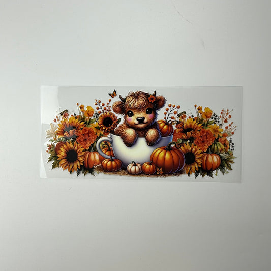 Calf in Cup with Pumpkins