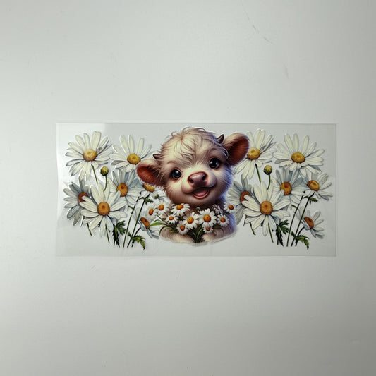 Calf with Daisies