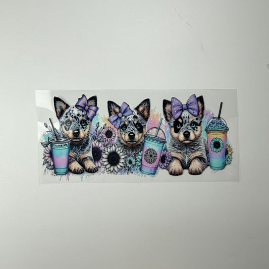 Blue Heeler Trio with Drinks