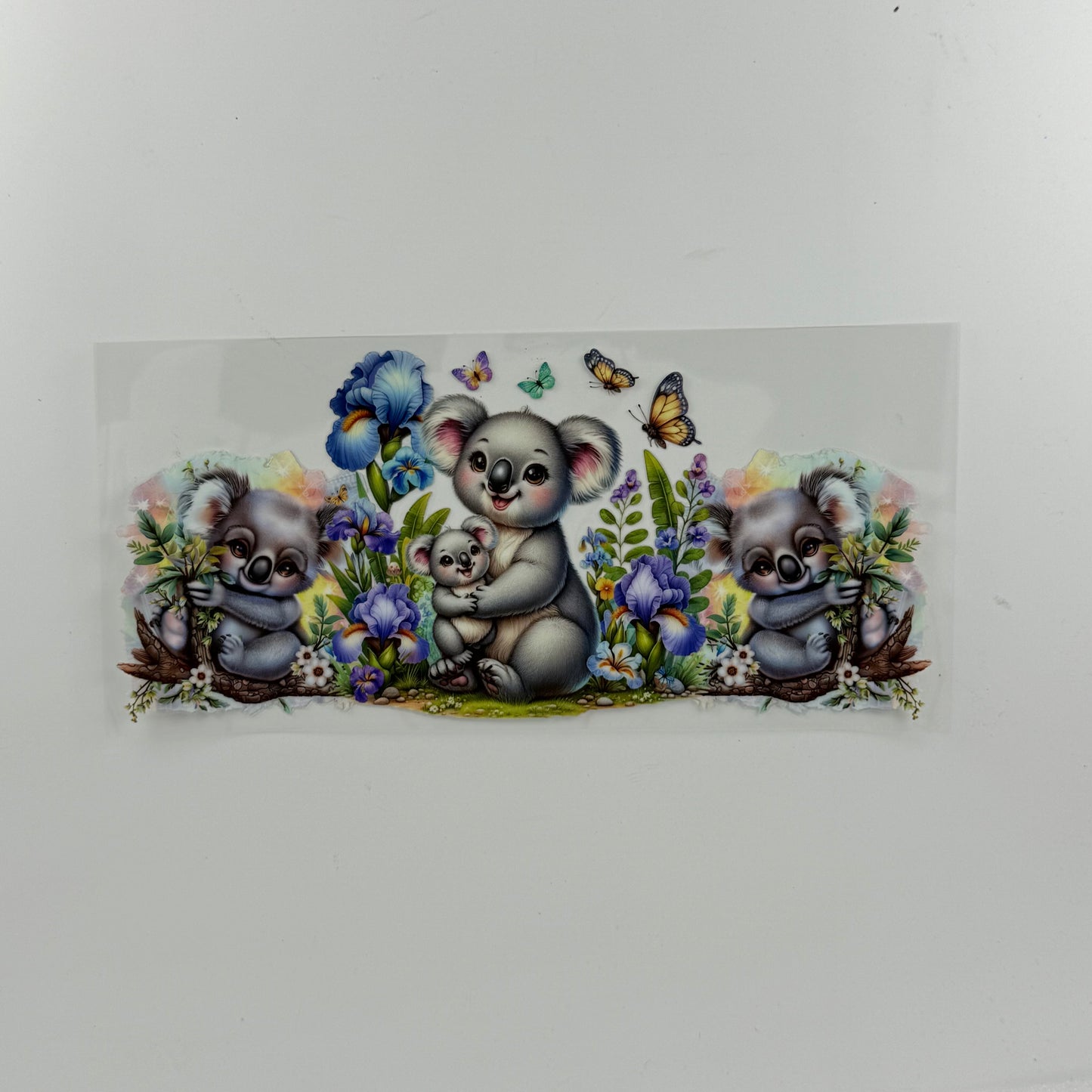 Koala Bears