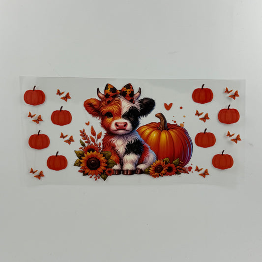 Calf and Pumpkins