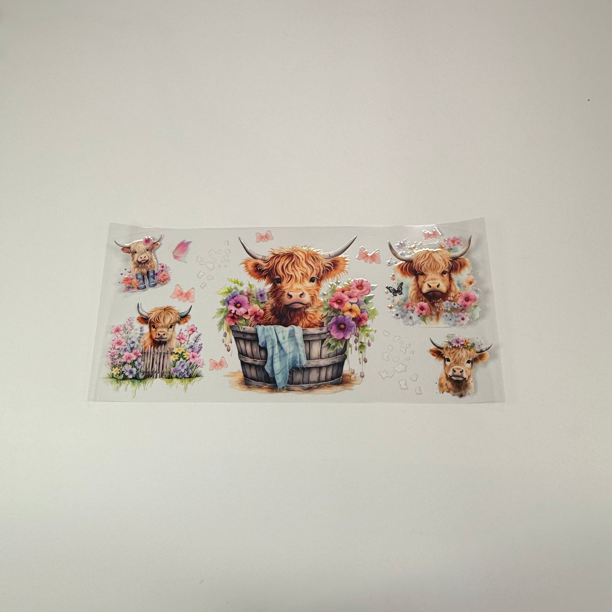 Highland Calf - Wattsupcustoms